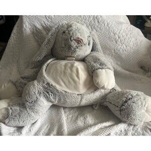 Large Histoire d’Ours Bunny